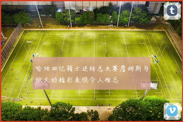 哈珀回忆骑士逆转总决赛詹姆斯与欧文的精彩表现令人难忘