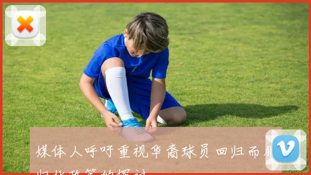 媒体人呼吁重视华裔球员回归而非归化政策的探讨